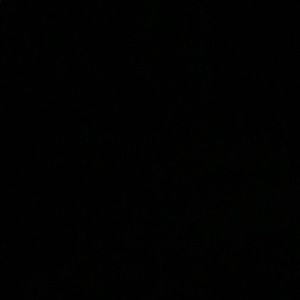 Meet your Posher, Lupe